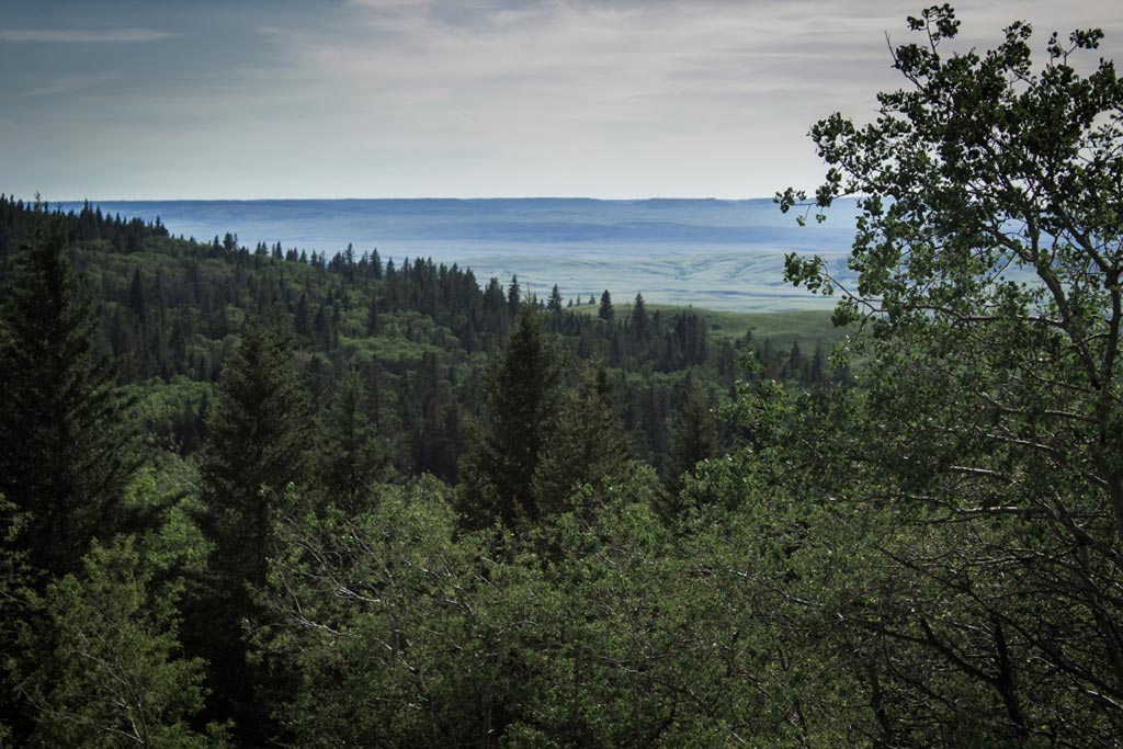 Hiking - Native Prairie Trail - Views