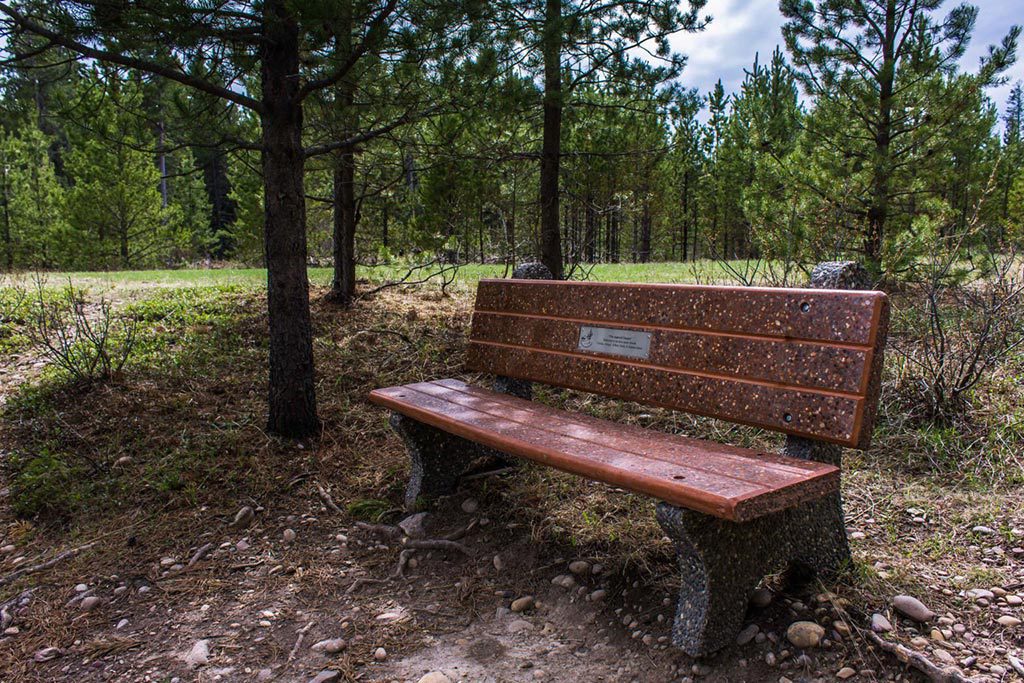 Hiking - Whispering Pines Trail - Bench